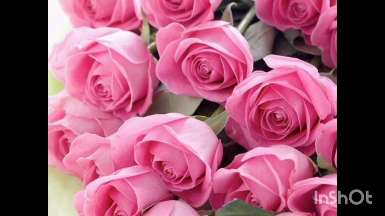 نفسه يتحد معاكي❤️بيعشقك بهوووس ❤️بيحبك اووي اووي اووي ❤️🌹❤️