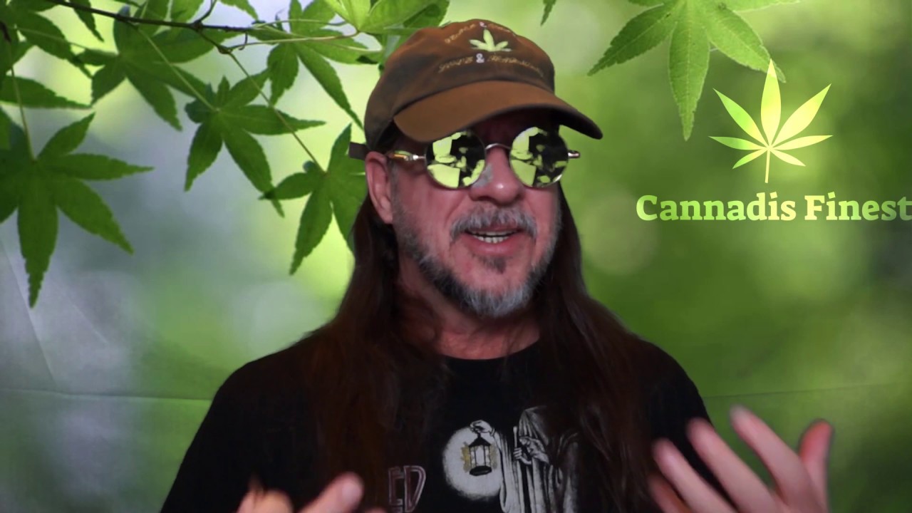 Strain Review - Super Skunk