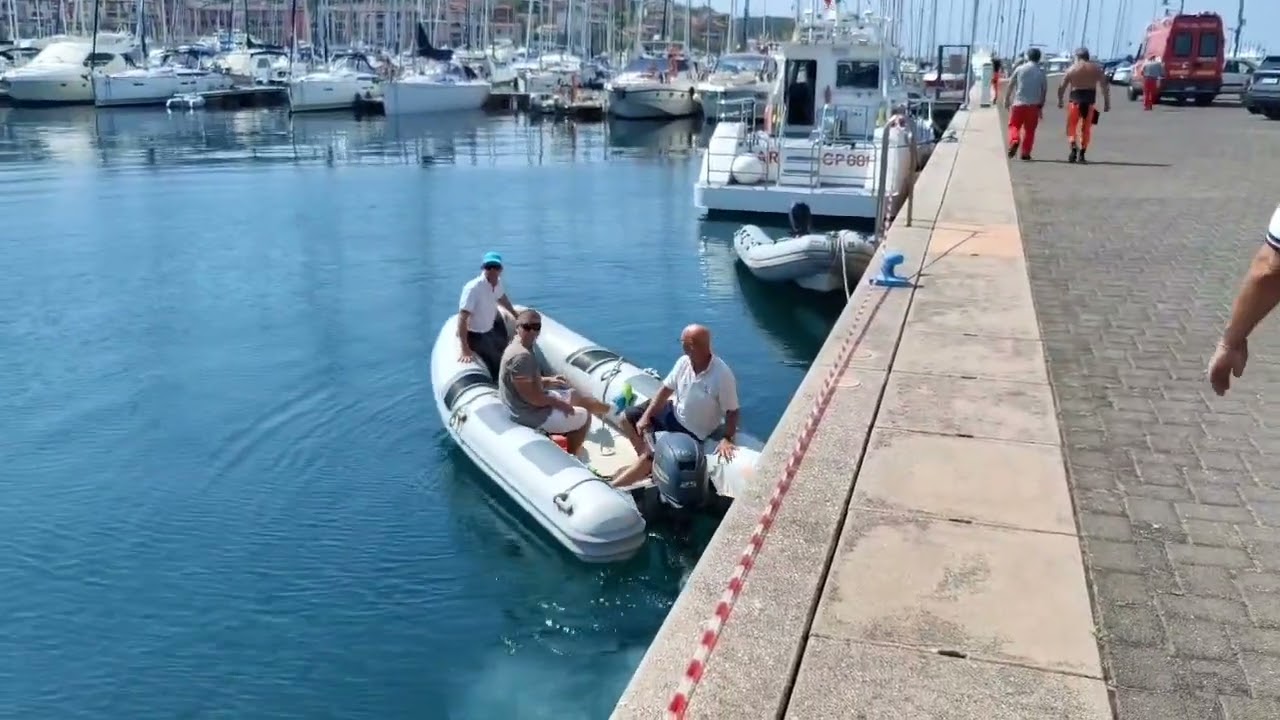 Balenottera morta a Muggia, tecnici al lavoro a Porto San Rocco