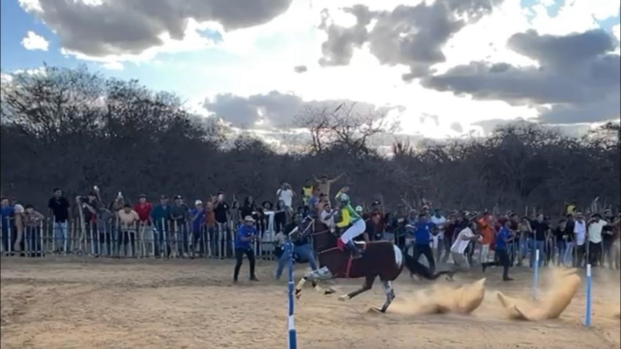 PIRULITO BRUMMEL: Corrida de Cavalo,O maio Desafio no HARAS UMBUZEIRO! #cavaloscorridasehistorias