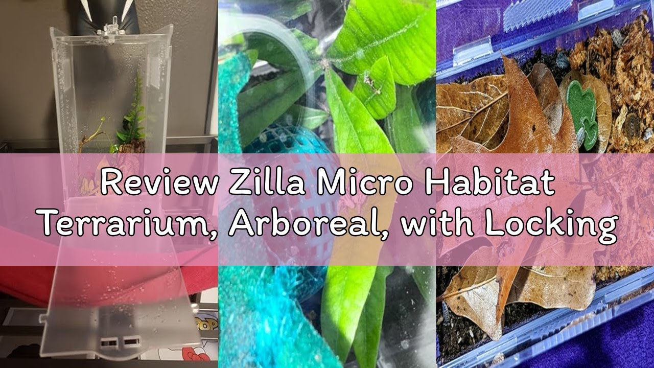 Review Zilla Micro Habitat Terrarium, Arboreal, with Locking Latch, for Isopods, Spiders, Insects, S