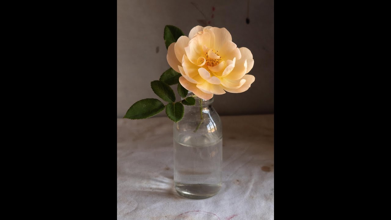 Can you mix these subtle flower colours? Friday colour challenge, live oil painting session