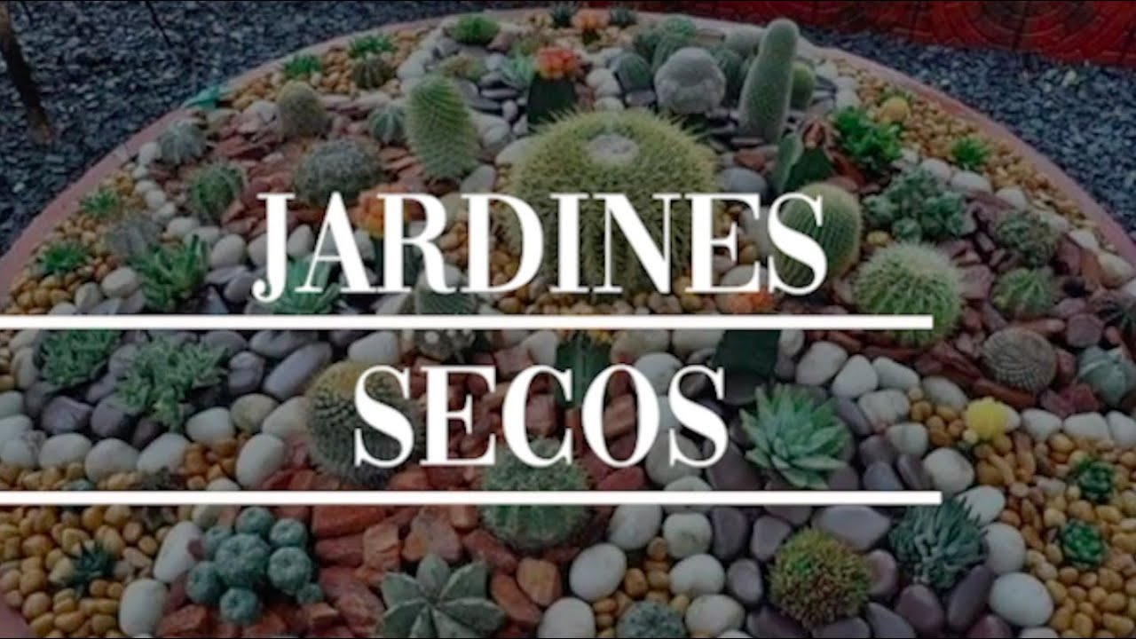 Cómo hacer un jardín seco I Paso a paso