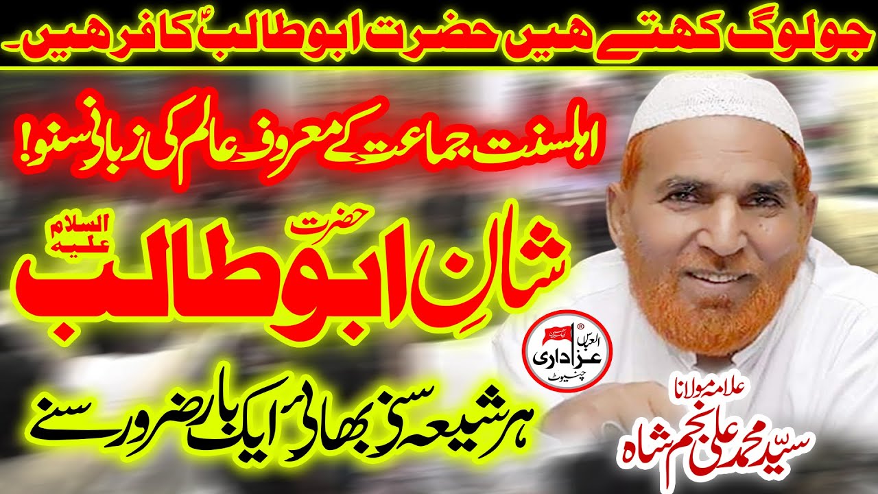 Hazrat Allama Syed Muhammad Ali Najam Shah Beautiful Bayan Shan-E-Abutalib as