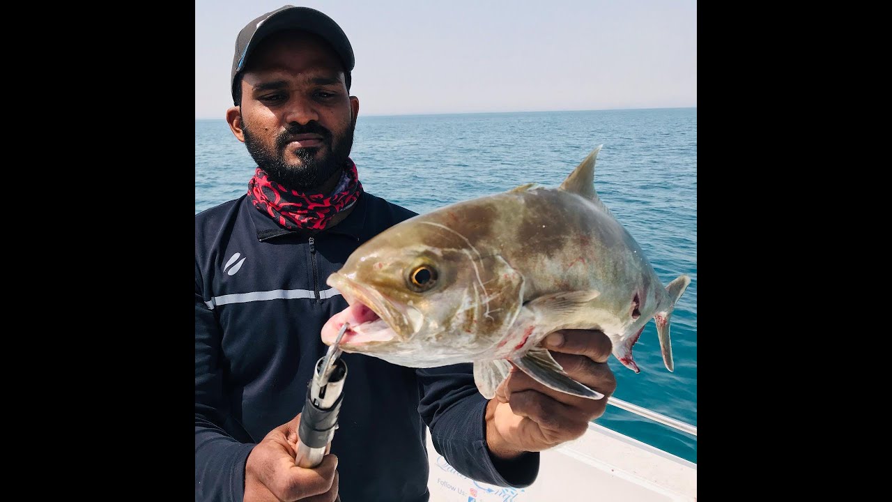 FISHING IN QATAR 🇶🇦
