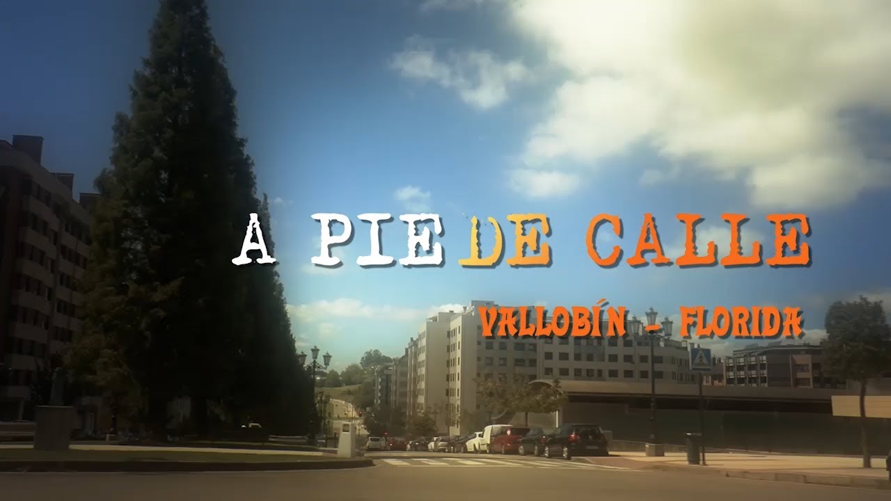 A PIE DE CALLE Pequeño comercio en Vallobín-La Florida