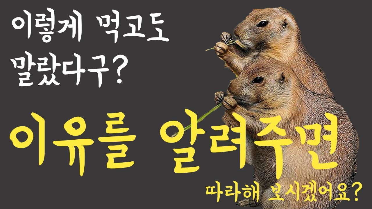 [건강사전] 알아도 힘든대 모르면 답이 없는_ 살 안찌는 몸의 원리