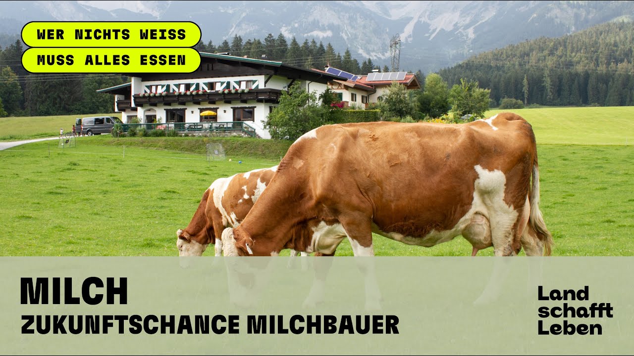 MILCH (1/6) -  Zukunftschance Milchbauer