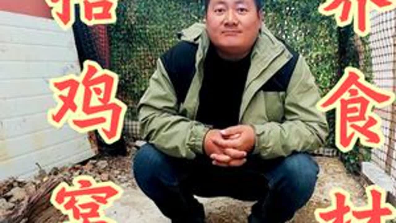 建个鸡窝，储备新一年的食材 养鸡了喂#农村生活 #养鸡 #美食 #食材 #新农人