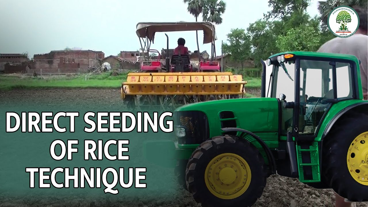 Direct Seeding of Rice (DSR) Technique | Pariksha Idea