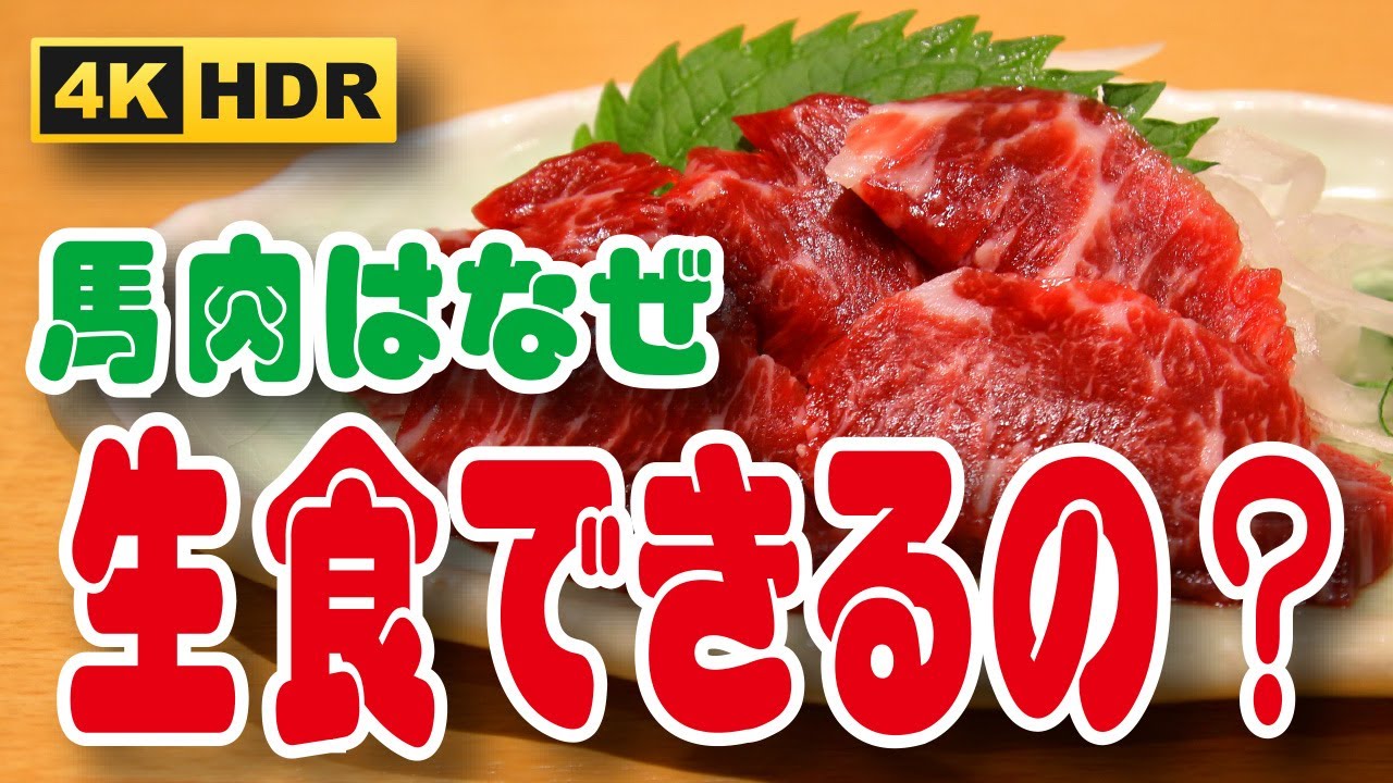 【食品スーパー】馬肉はなぜ生食できるの？食中毒の原因となる寄生虫や細菌は大丈夫？【4K HDR】人吉