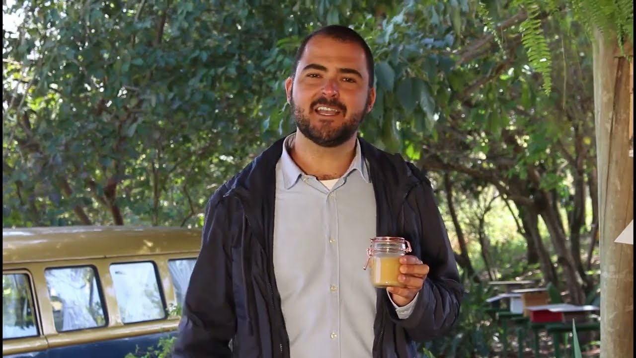 Saiba mais - Por que o mel das abelhas sem ferrão é tão diferente?
