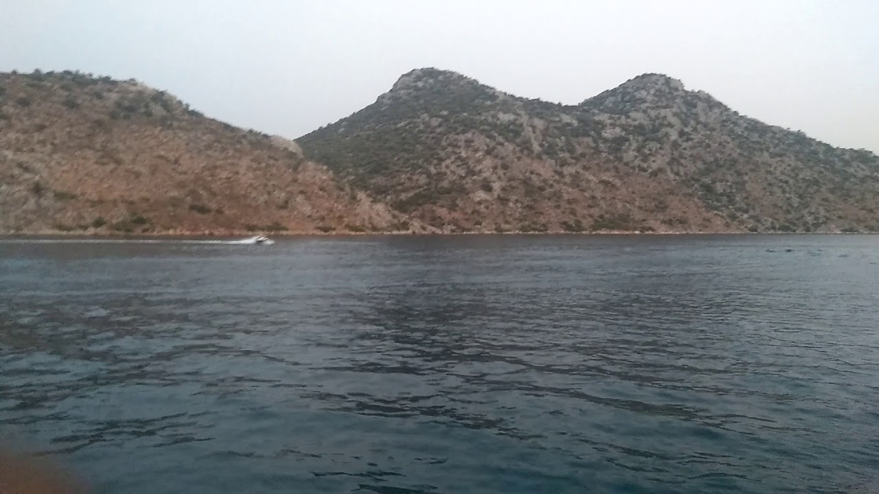 VİYA 4.95 ART (VİYABOAT)