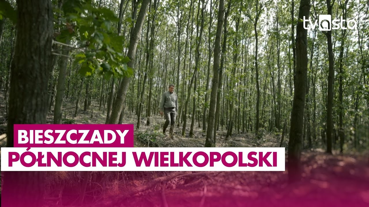 Bieszczady P&oacute;łnocnej Wielkopolski z afrykańską glebą