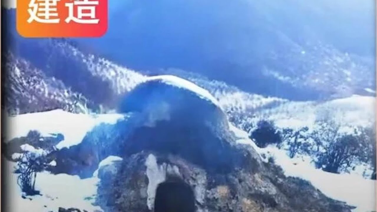 【新春特輯】帶你一口氣看完十個洞穴庇護所的搭建過程！荒野建造秘籍曝光 #野外生存 #荒野建造 #户外生活 #露营 #求生