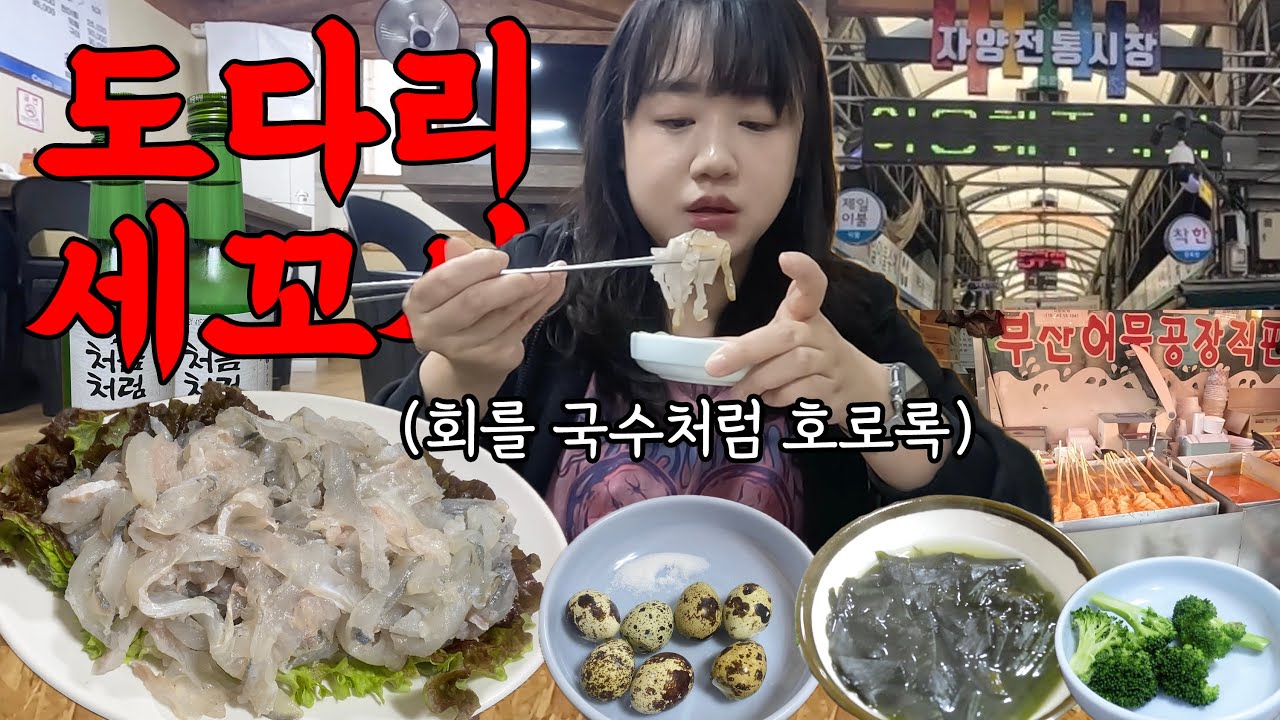 도다리 세꼬시는 이렇게 먹어야 제맛입니다 (혼술)