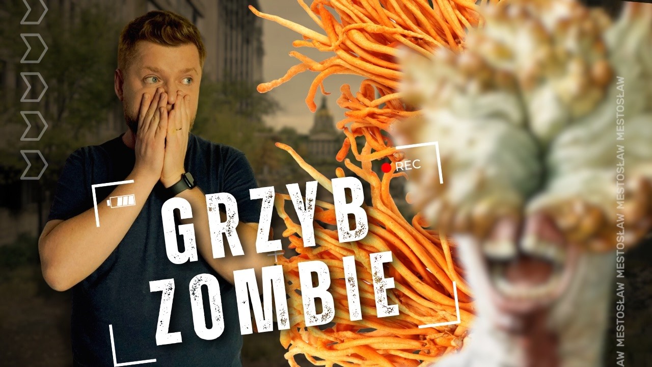 Grzyb, który zmienia w zombie! Poznaj szokującą prawdę o cordycepsie