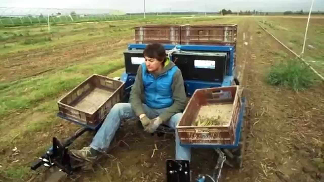 Machine pour récolter les asperges