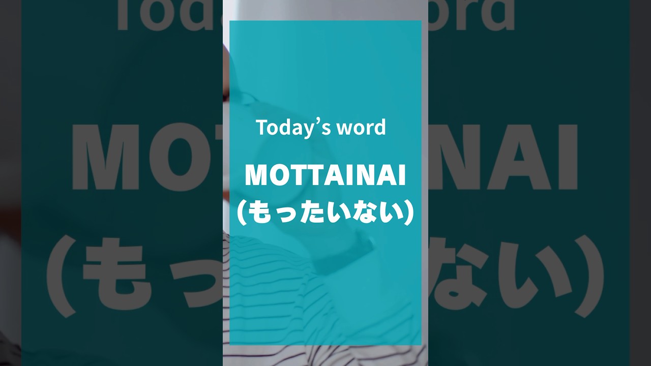 Japanese Word of the Day #1: MOTTAINAI (もったいない &ndash; wasteful or too precious to waste)