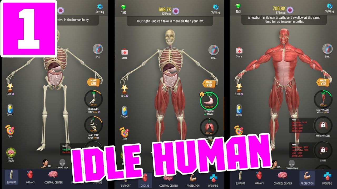 IDLE HUMAN GAMEPLAY AND WALKTHROUGH (ANDROID\IOS) PART 1 - YOUTUBE