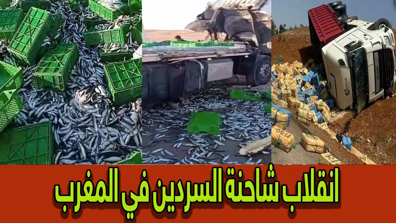 ضاعت الملايين في لحظة! شاهد ما حدث لشاحنة السردين على طريق العيون طانطان 😱