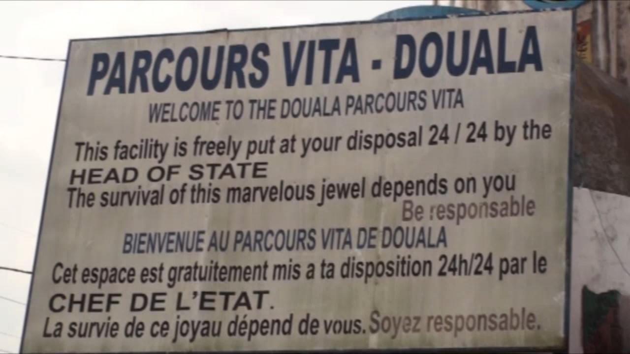 LE CAMEROUN, COMME IL VA ...
