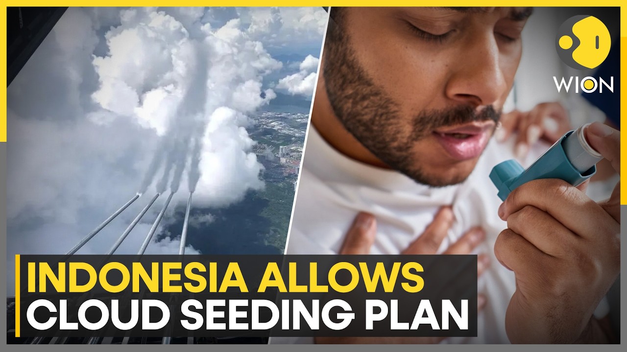 Malaysia Asthma Cases Surge 259% Due To Worsening Haze | WION News