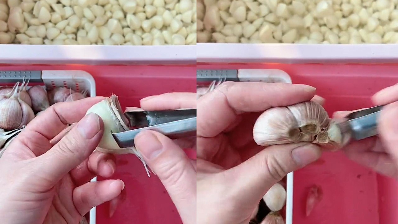 Immersive Garlic Peeling ASMR &ndash; Satisfying and Relaxing Garlic Peeling Sounds#Decompression
