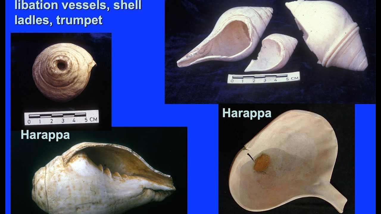 The Role of Marine Shell in the Ornaments, Arts and Rituals of the Indus Tradition: 7000-1900 BCE