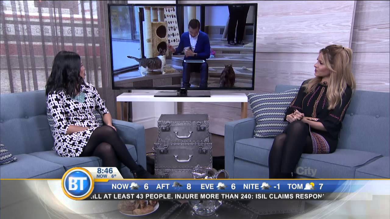 #TrendingOnBT: National adoption weekend with Pet Smart and Toronto Animal Services