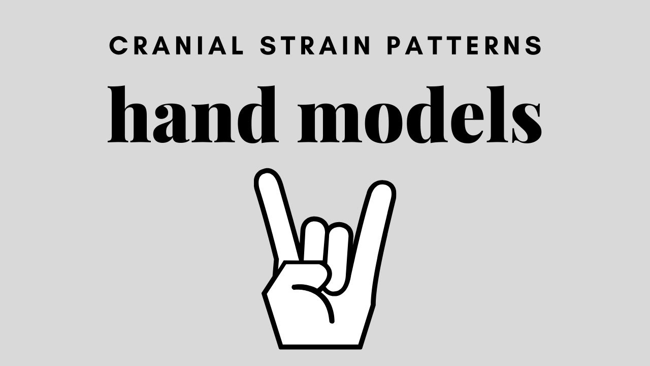 CRI/Cranial Strain Pattern Hand Models