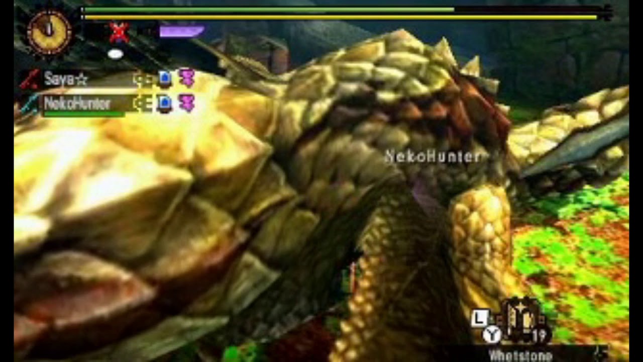 【MH4U/MH4G】Lv140 Double Seregios | 2 Player Insect Glaive (feat. NekoHunter) 4'33'70