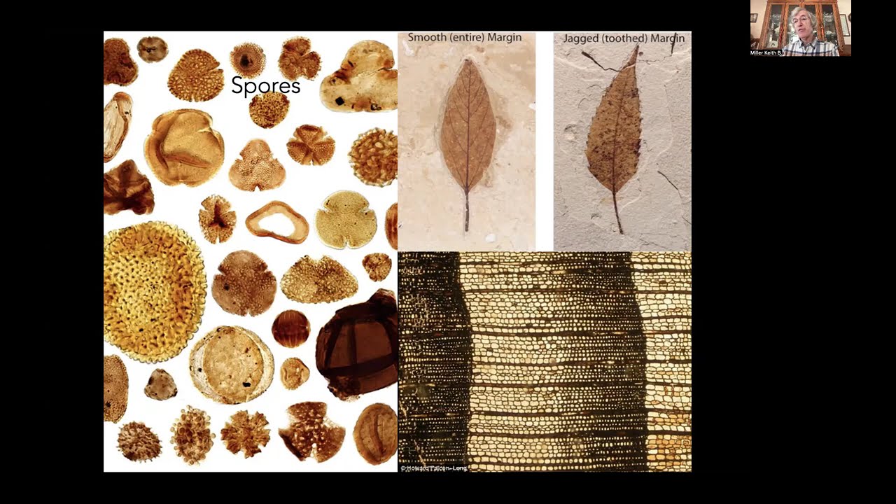 How Are Past Climates Reconstructed?
