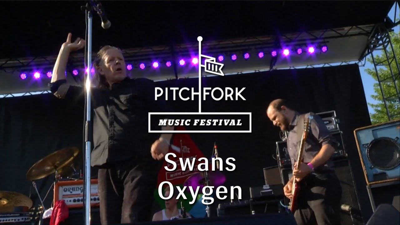 Swans - 