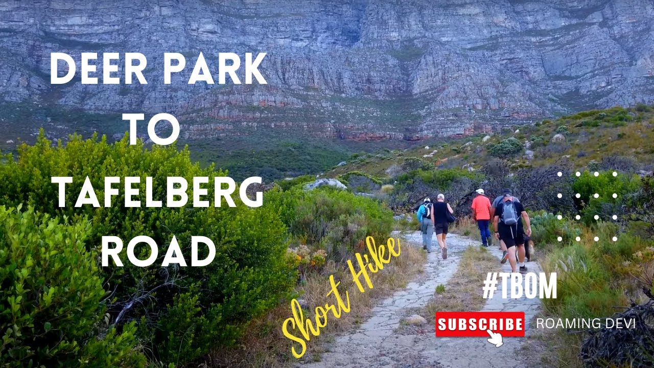 Short hike : Deer Park to Tafelberg road | Cape Town