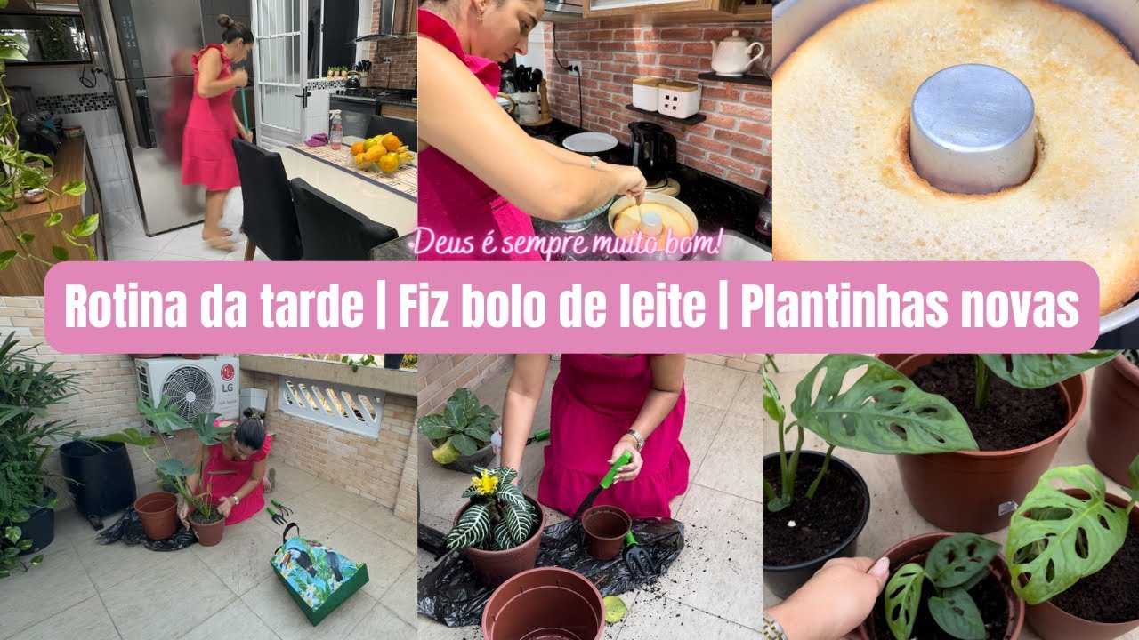 Rotina da tarde| Limpei a cozinha| Fiz bolo de leite| Fiz novas mudas de planta| Café da tarde