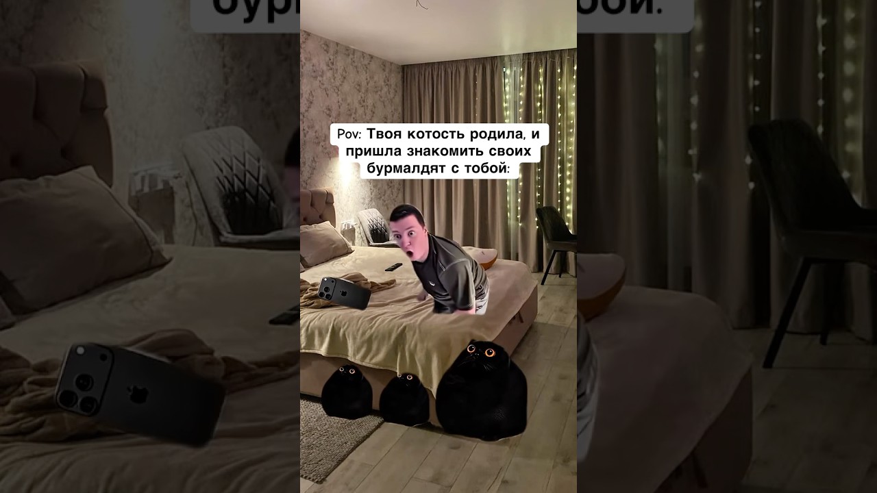 Когда Котость Родила Бурмалдят😼