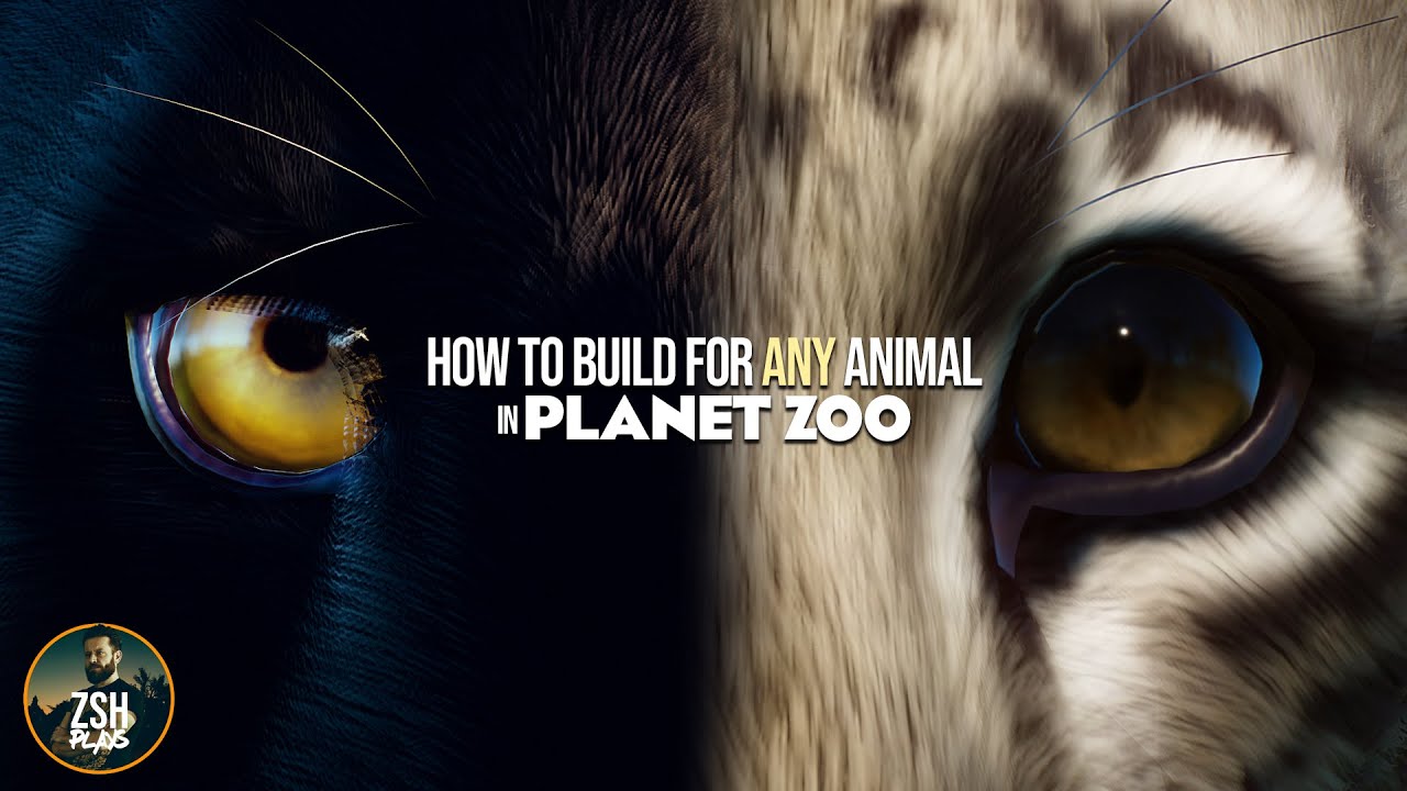 How to Build for Any Animal in Planet Zoo!