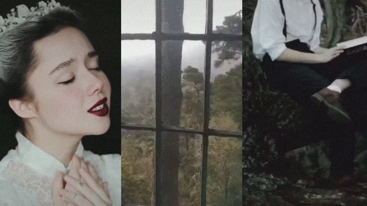 aesthetic tiktoks || dark academia