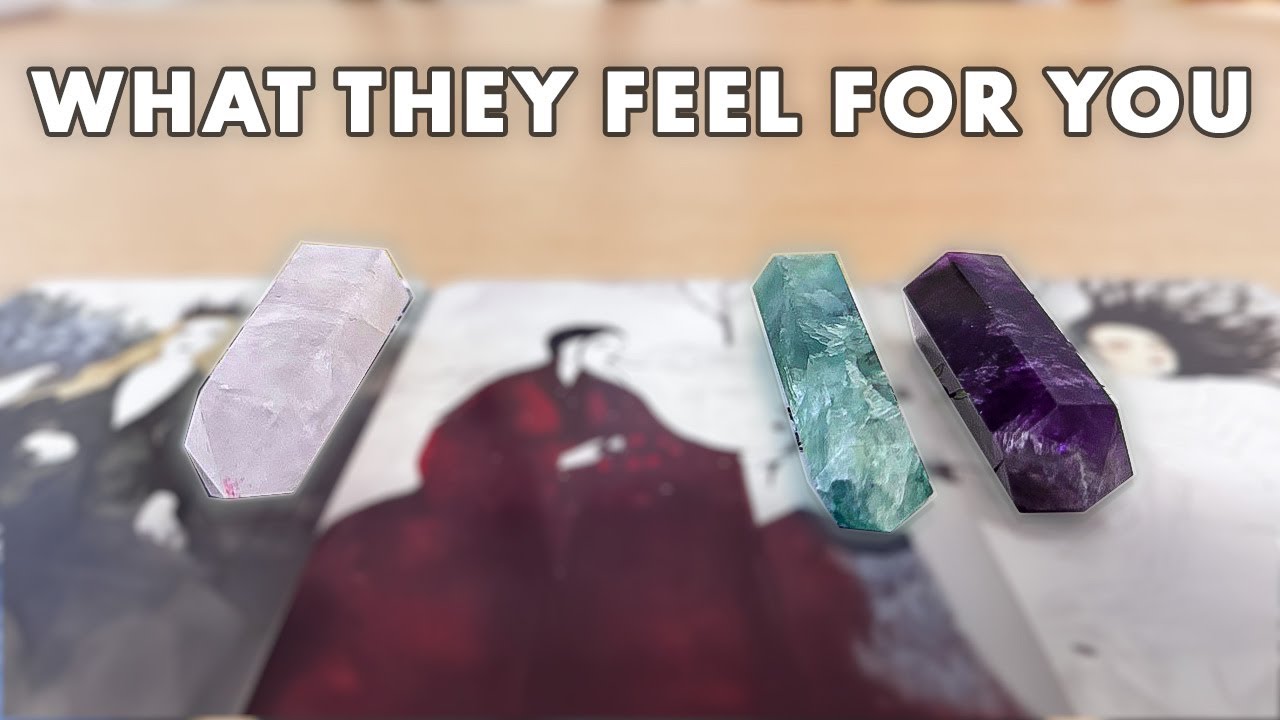 What They Feel for You 💜 Their Next Move & Messages | Pick A Card &bull; Tarot Reading &bull; Timeless