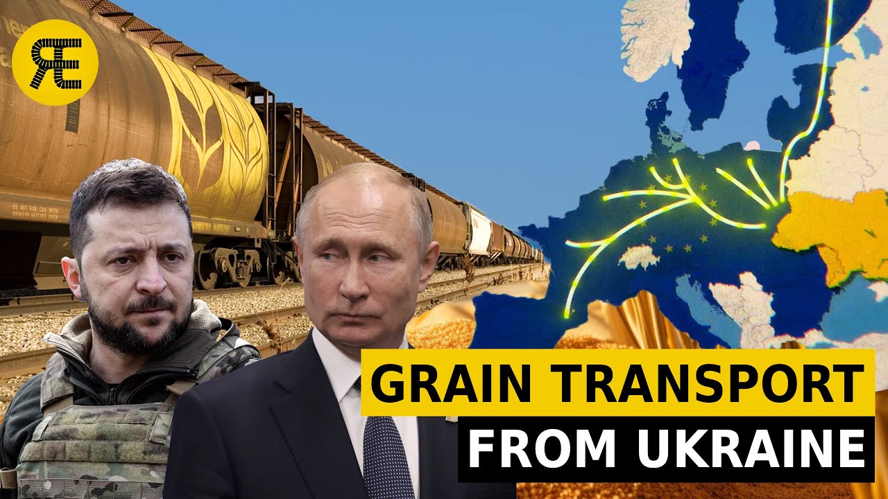 Кризис экспорта зерна из Украины: почему железные дороги не справились?