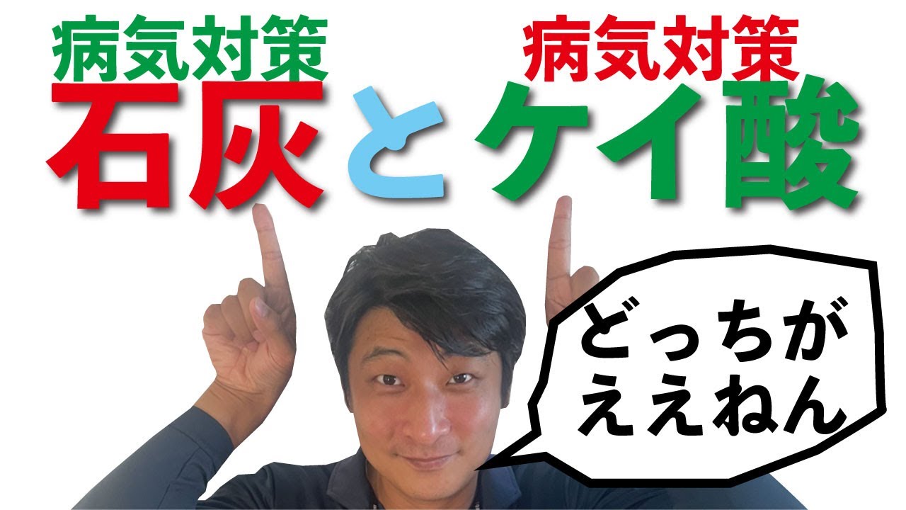【失敗パターン】石灰とケイ酸どっちかだけで対策なるよね？
