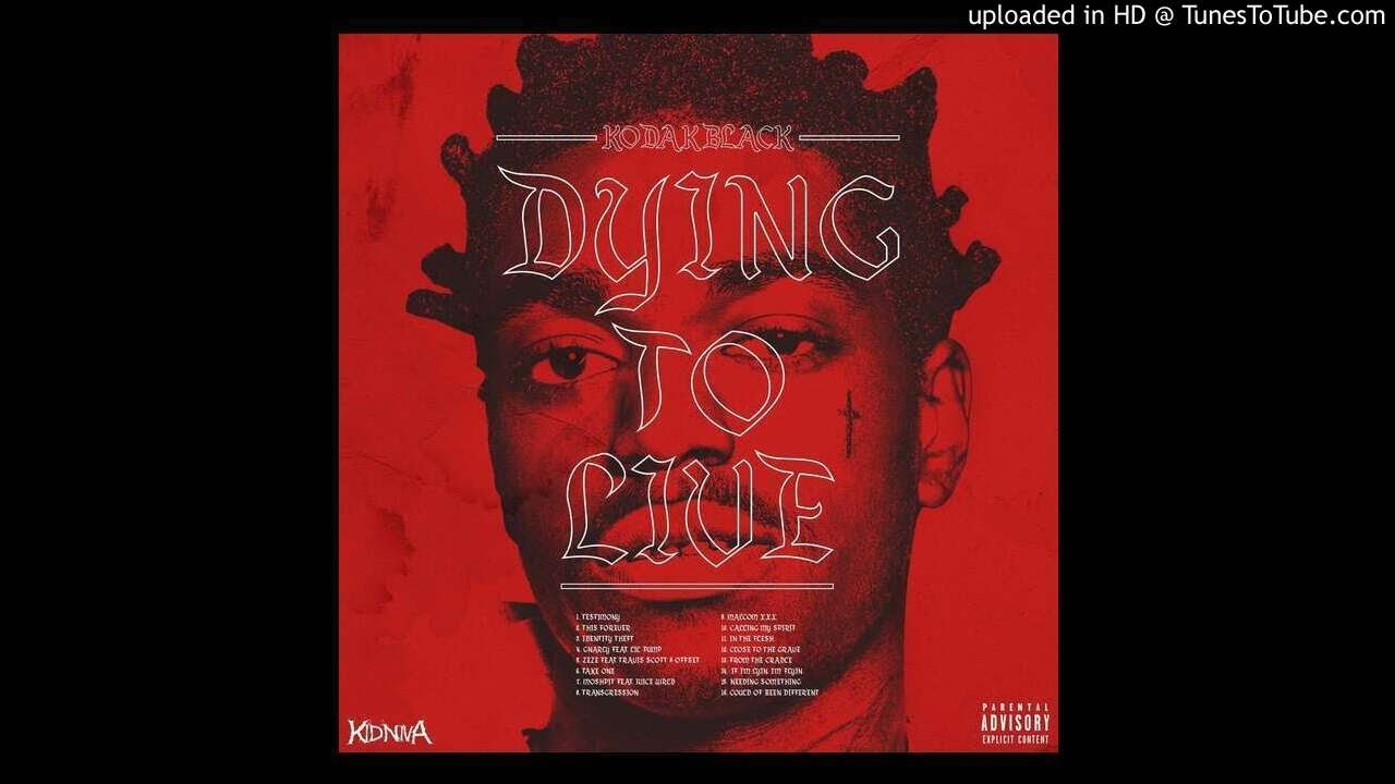 [FREE FOR PROFIT] Kodak Black Type Beat - "In Love" (prod. by A1aric)