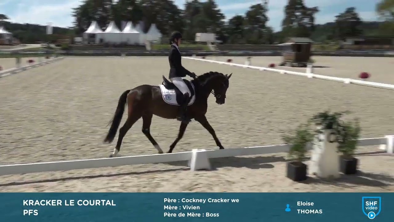Kracker le Courtal - Reprise finale CC Dressage 4 ans - Fontainebleau 2024