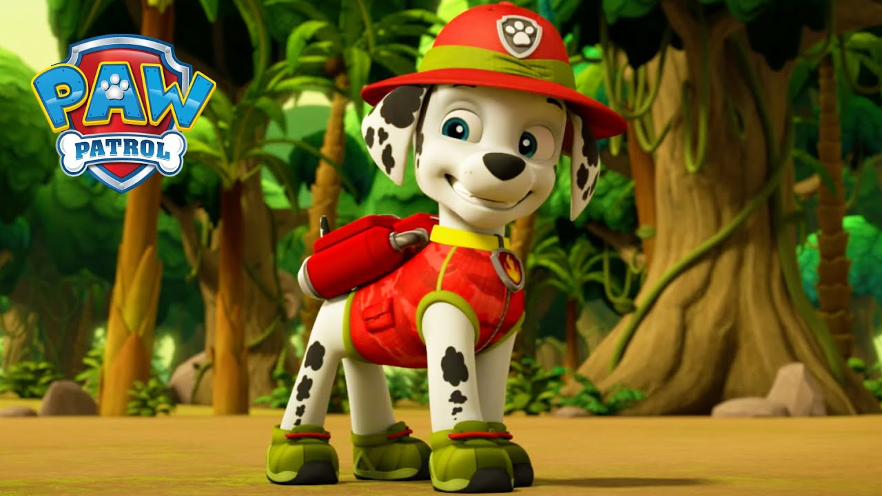 Jungle Pups! 🙊 - PAW Patrol UK - Cartoons for Kids