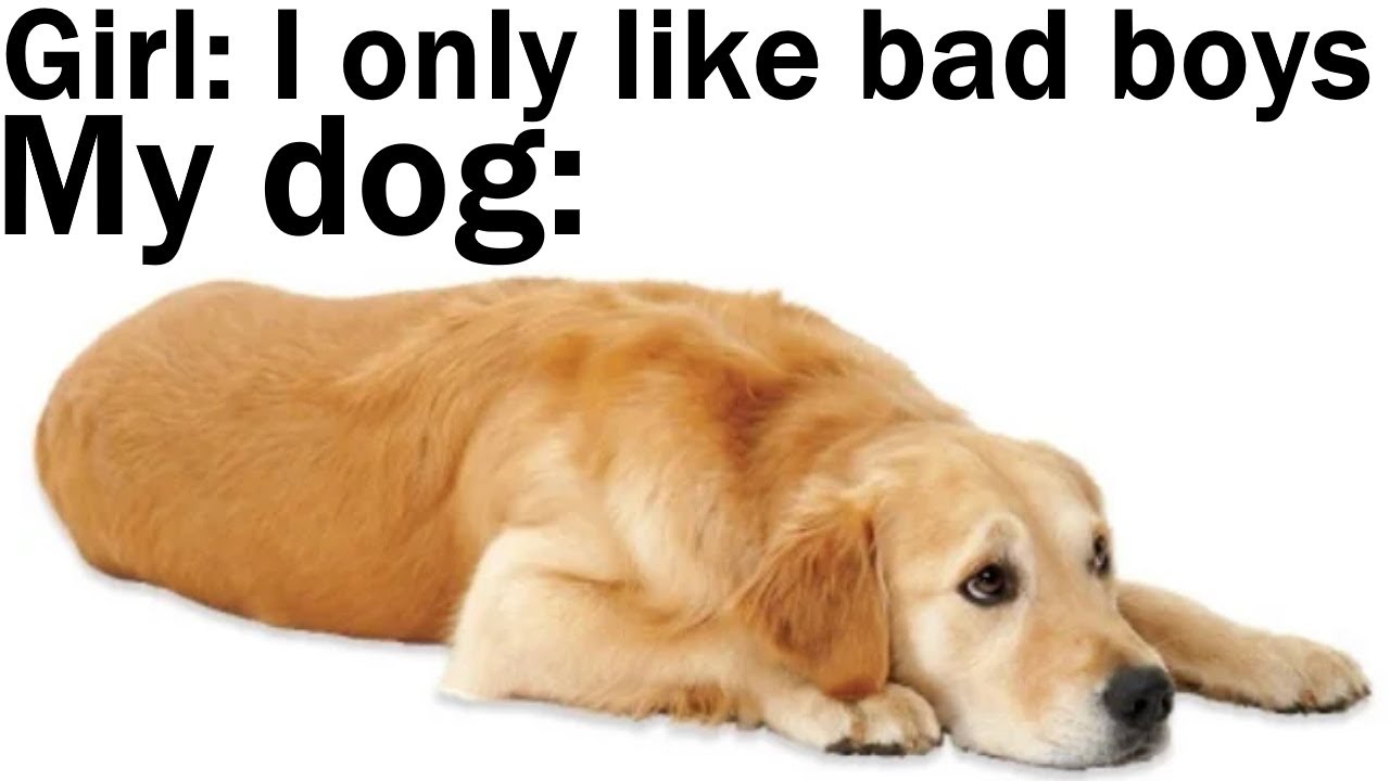 Daily Juicy Memes 733