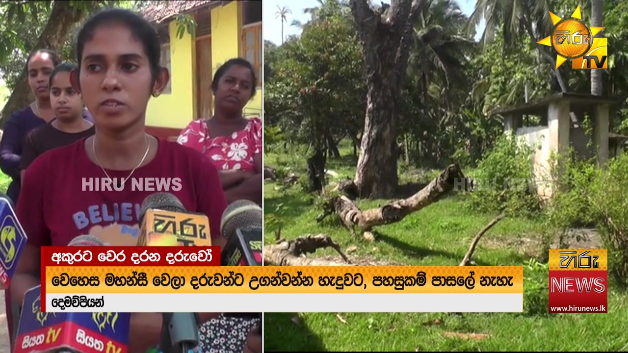 “අනේ අපේ දරුවන්ගේ පාසල රැක ගන්න උදව් කරන්න” අකුරට වෙර දරන ගලෙන්බිඳුණුවැව දරුවන් - Hiru News