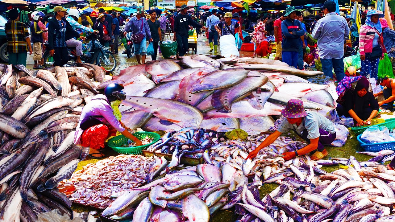 Amazing !Special Village Most Satisfying, Streets Fish markets, Fish Market Scenes People Activities