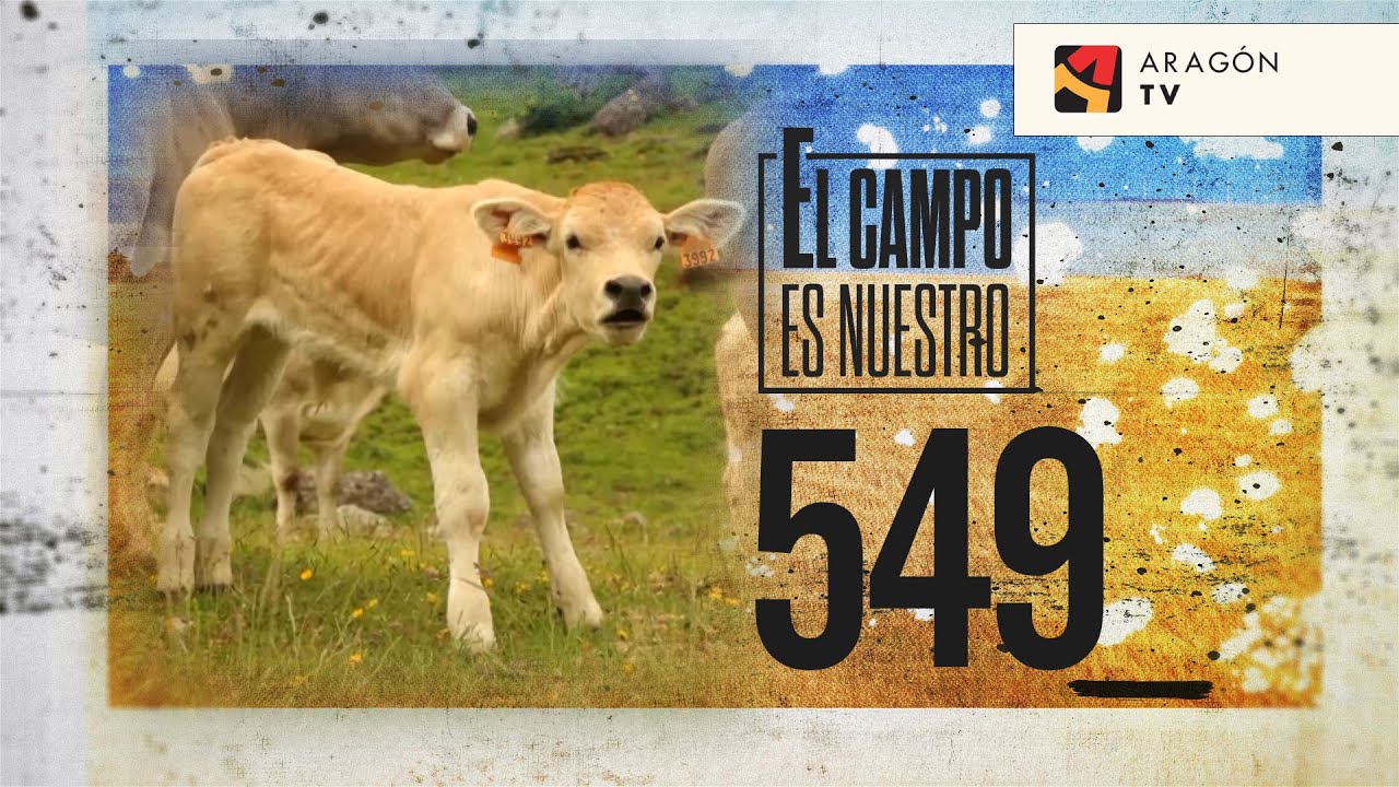 EL CAMPO ES NUESTRO cap.549