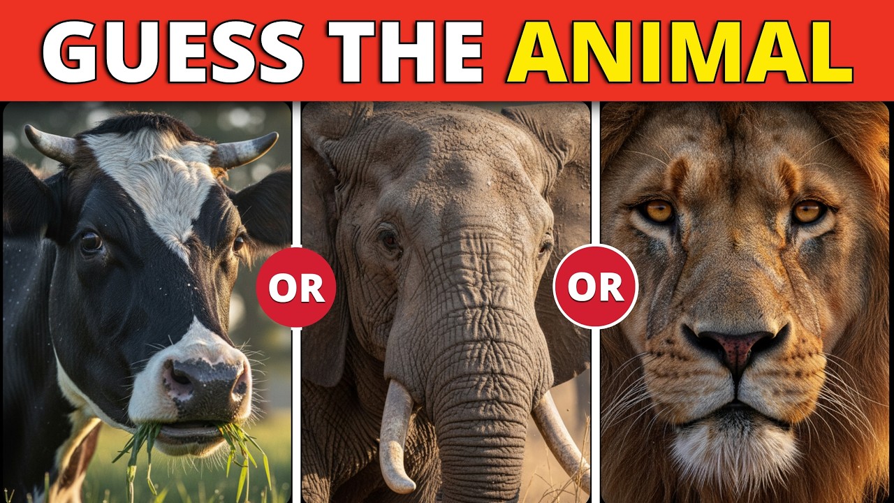Guess The Animal In 3 Seconds | Animals Hard Edition | Easy to Impossible | Guess The Animal Quiz